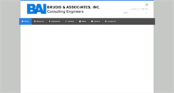 Desktop Screenshot of brudis.com