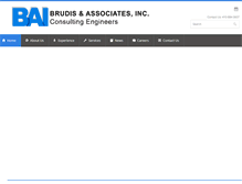 Tablet Screenshot of brudis.com
